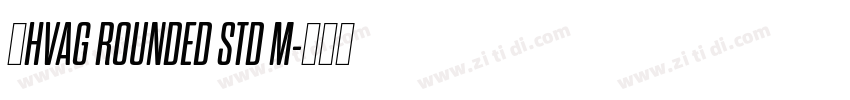 韩HVAG ROUNDED STD M字体转换